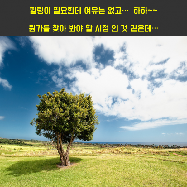76c126dd8b53e251d0a3eb82f085f295_1547100
