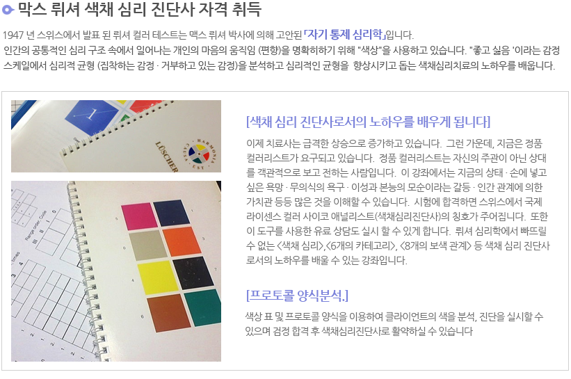 뤼셔 색채 심리 진단사 내용 